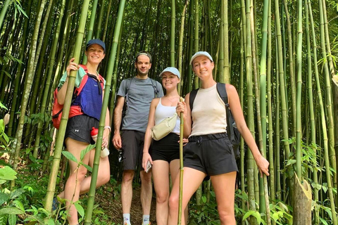 Trekking di 2 giorni a Sapa ed esperienza in famiglia