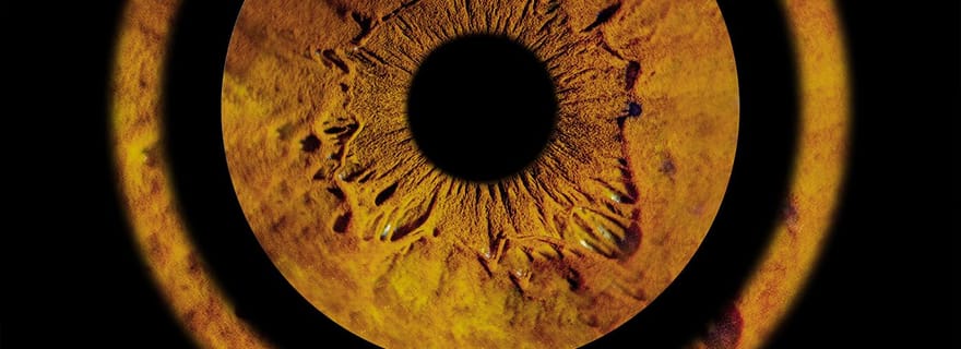 Metz : Votre photographie professionnelle d'iris avec tirage encadré