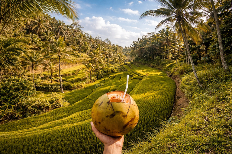 Bali: Sekumpul Waterfall With Waterslide & Rice Terrace Trek Group Tour with Hotel Transfer in Central Bali Area