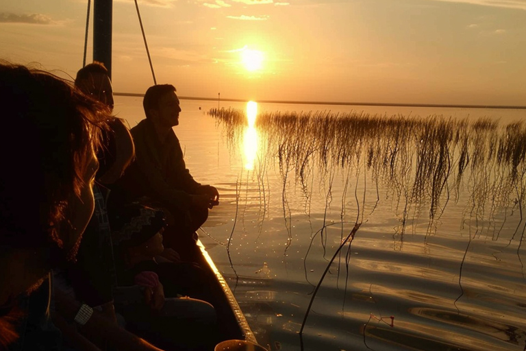 Albufera : tour en bateau avec dégustation de vins de Valence et de tapas