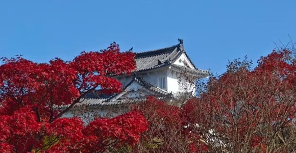 Kyoto/Osaka: Himeji Castle & Kobe Day Trip-Maple Viewing