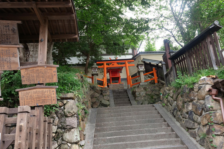 Nara : visite d&#039;une demi-journée au patrimoine de l&#039;UNESCO et visite à pied de la culture locale