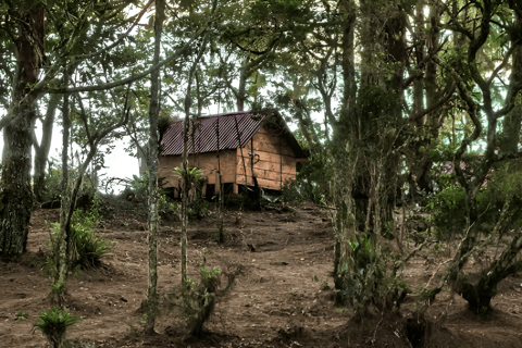 Santa Marta : randonnée de 2 jours au Cerro Kennedy avec un guide autochtone