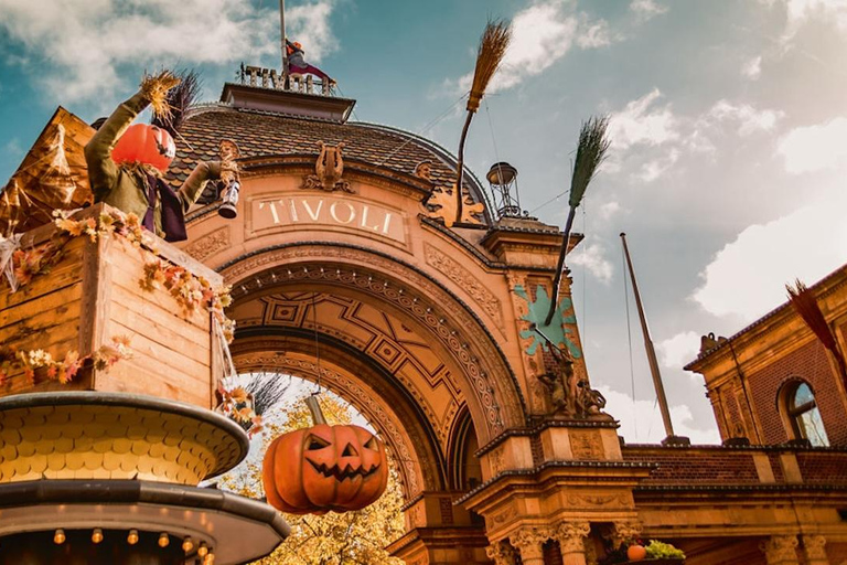 Copenhagen: Walking tour Maxitour the Must-Haves in English