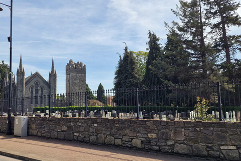 都柏林：隐藏瑰宝步行导览，由本地导游带领。都柏林：隐藏瑰宝徒步游，本地导游陪同