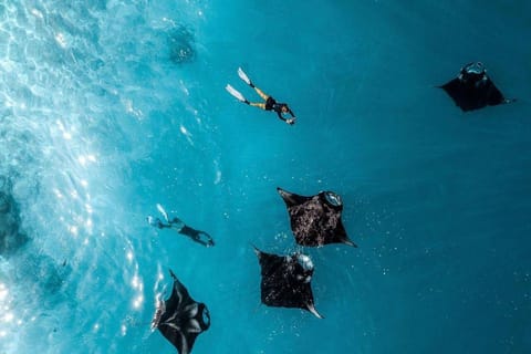 Z Bali: Nusa Penida - nurkowanie z rurką i wycieczka lądowa w cenie