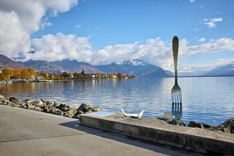 Viagem de 1 dia privada: Lausanne a Vevey, Montreux e Castelo de Aigle