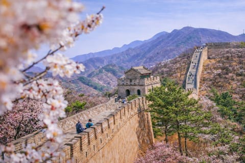 Beijing: Badaling Great Wall Tickets with Day &Night Options
