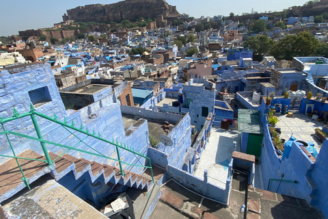 Jodhpur: Fuerte de Mehrangarh y Ciudad Azul Visita guiada privada