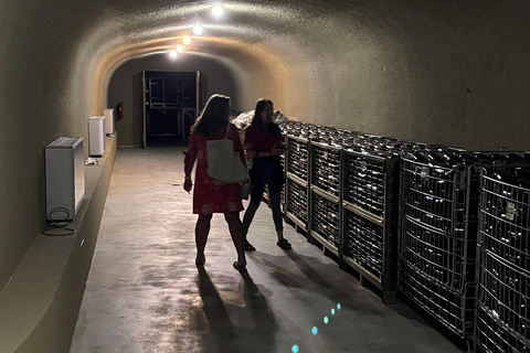 From Athens: Nemea Wine Tour with Corinth Canal Stop