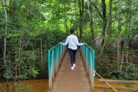 内罗毕：卡鲁拉隐藏瀑布徒步与森林野餐