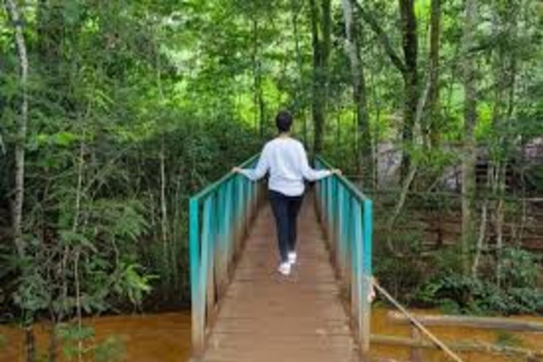 内罗毕：卡鲁拉隐藏瀑布徒步与森林野餐