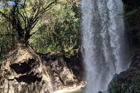 Tour in Labuan Bajo City One Full Day Including Out of Town Travel