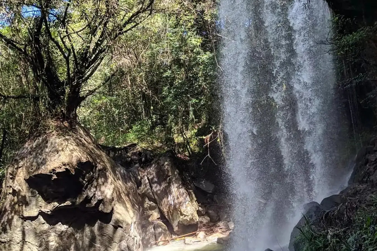 Tour in Labuan Bajo City One Full Day Including Out of Town Travel