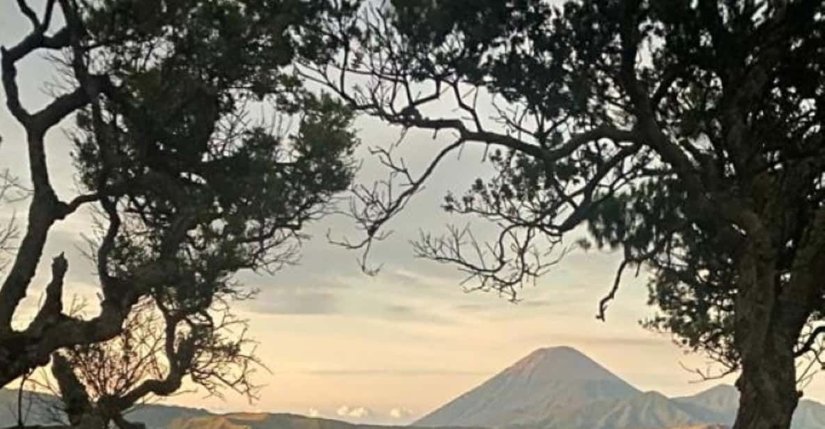 Photo inspiration: From Yogyakarta Or Surabaya Or Malang Bromo Ijen Bali 3D2N Photo Inspiration