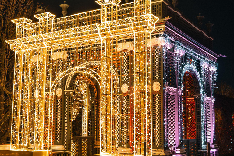 Vienna: Christmas Evening Tour with Schönbrunn Palace Lights