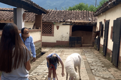 Medellin: Horseback riding, animal show and skyline view