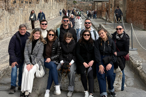 Pompeii: Shared Tour with an Archaeologist plus Skip-the-Line Ticket