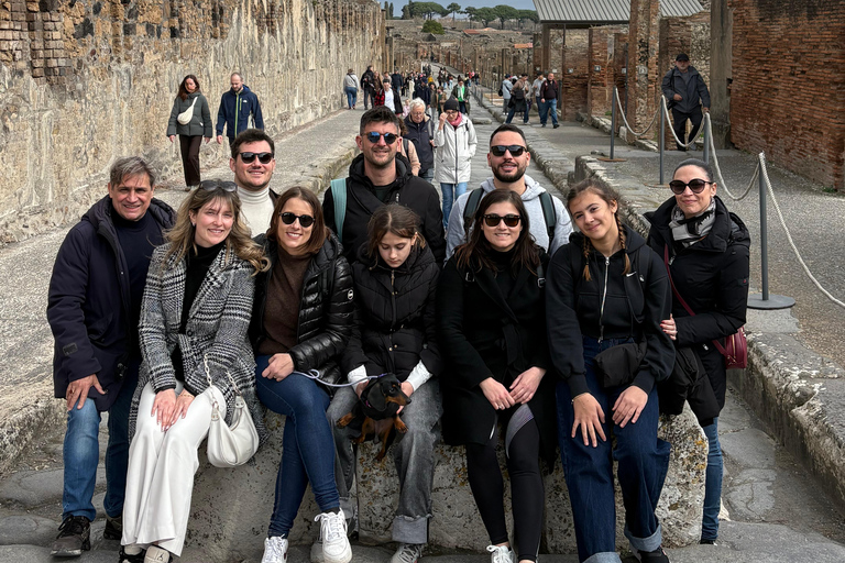 Pompeii: Shared Tour with an Archaeologist plus Skip-the-Line Ticket