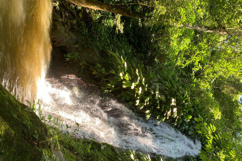 Tournée du café et du cacao à Minca !