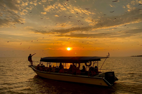 Kuala Selangor: Eagles, Fireflies & Blue Tears Boat Tour
