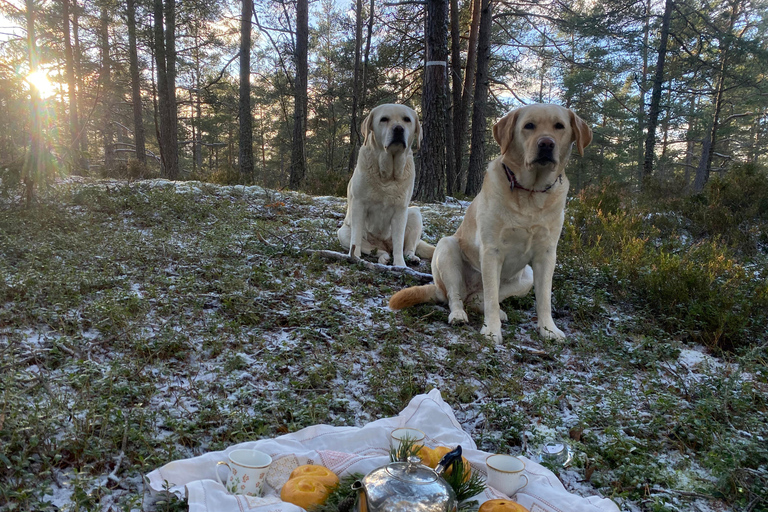 Stockholm: Dog Walk in Nature Reserve with Swedish Fika
