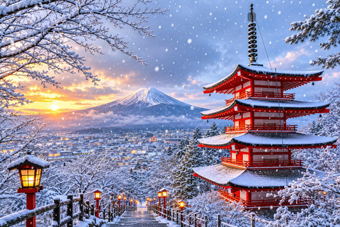 Fuji & Hakone Private Car Tour with Bullet Train Return
