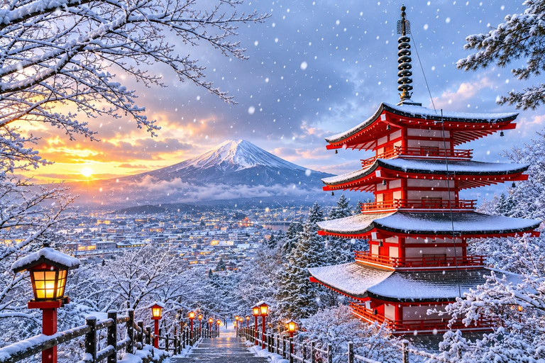 Fuji & Hakone Private Car Tour with Bullet Train Return
