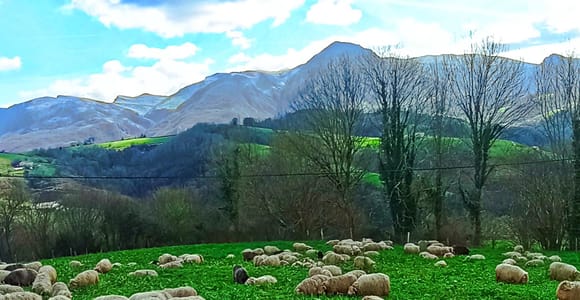 Exclusive Basque countryside