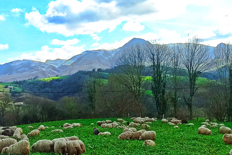 Exclusief Baskisch platteland