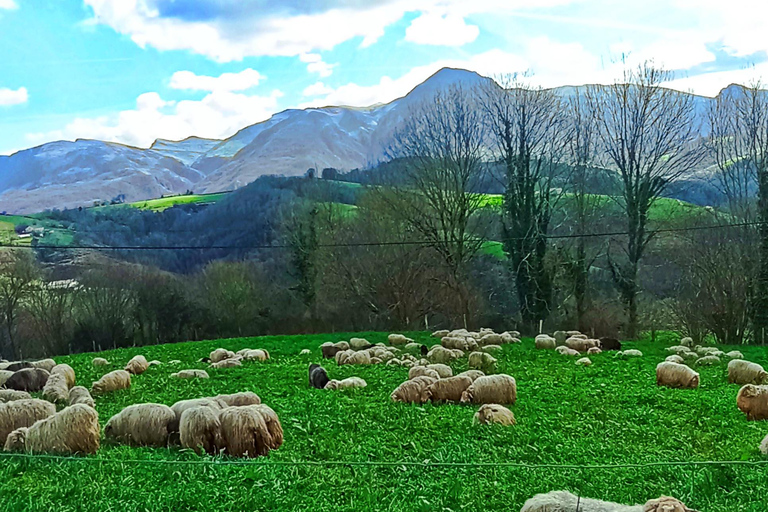 Exclusief Baskisch platteland