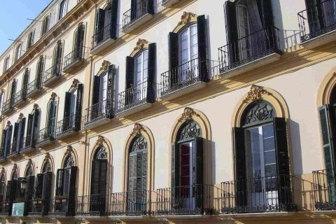 Billet pour le musée de la maison natale de Picasso + visite de Malaga avec application mobile