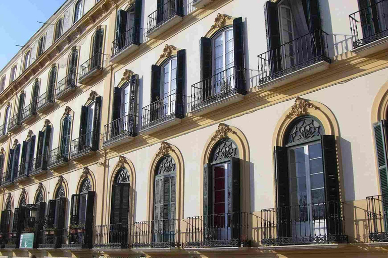 Entrada al Museo Casa Natal de Picasso + Visita guiada por Málaga con aplicación móvil