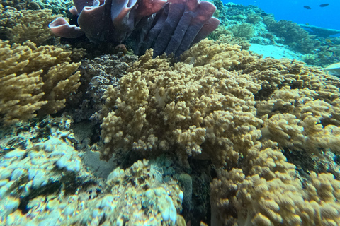 Lombok: Tour in barca delle isole Gili Nanggu, Sudak e Kedis