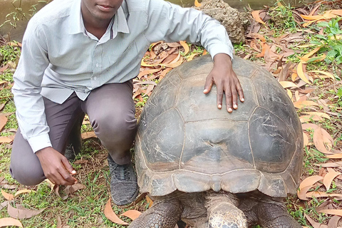 jozani forest tour and jozani reptile park