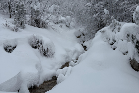 Shkoder: Theth National Park Day Tour with Local Guide