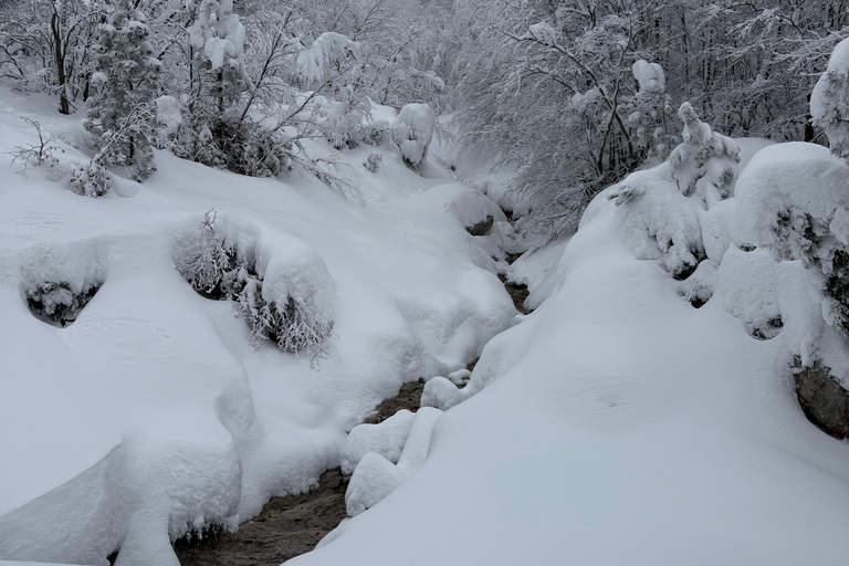 Shkoder: Theth National Park Day Tour with Local Guide