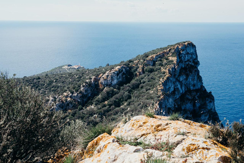 Majorca: Visit the Natural Park of Dragonera Island by boat