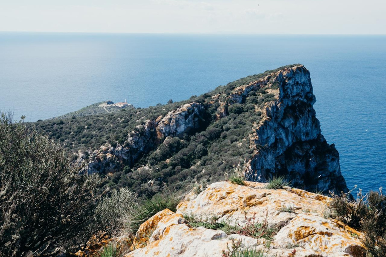 Majorca: Visit the Natural Park of Dragonera Island by boat