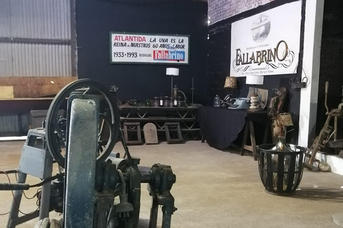 Montevideo: Tour of a century-old urban winery and tasting of 6 wines