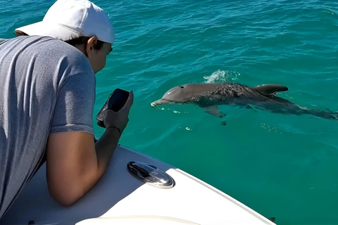 Snorkelen met dolfijnen &amp; zandbar Key West