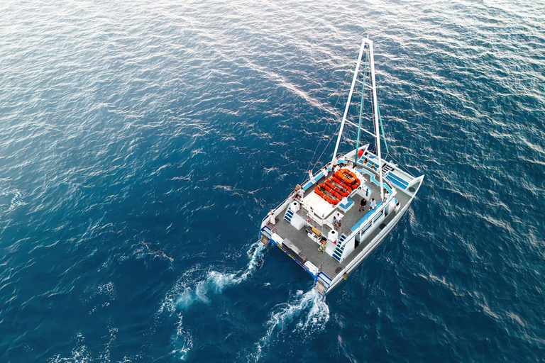 Oahu: Sunset Sail Cruise in Waikiki