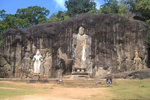 From Colombo: 10-Day Private Sri Lanka Tour with Transfers