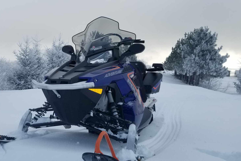 Ciudad de Quebec: Excursión guiada en moto de nieve1,5 horas de alquiler guiado de moto de nieve