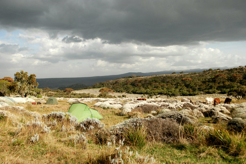 Wycieczka trekkingowa w góry Bale na 6 nocy i 7 dni