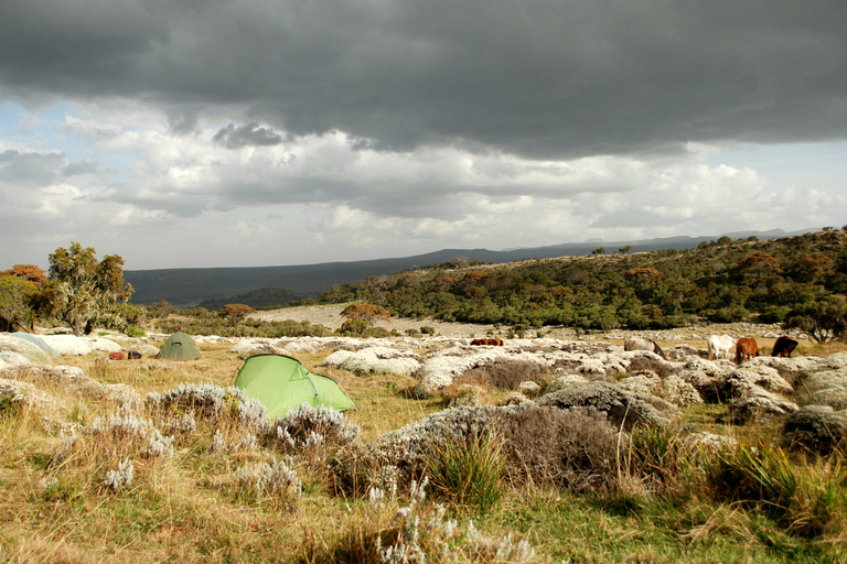 Wycieczka trekkingowa w góry Bale na 6 nocy i 7 dni