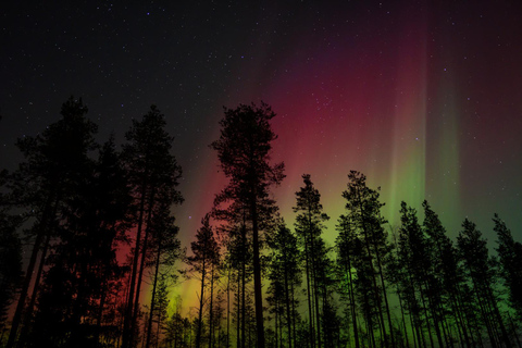 Rovaniemi: Aurora Hunt with 95% Success Rate, 4 people group Rovaniemi: Aurora Hunt with 95% Success Rate, PRIVATE