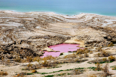 From Amman Private Madaba, Mt Nebo, Pink Lake &Dead Sea Tour All Inclusive Tour