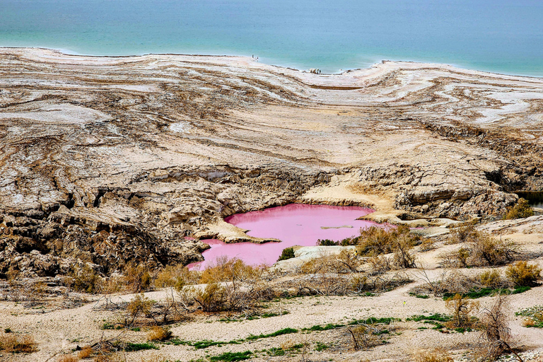 From Amman Private Madaba, Mt Nebo, Pink Lake &Dead Sea Tour All Inclusive Tour