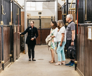 Vienna Spanish Riding School Guided Tour